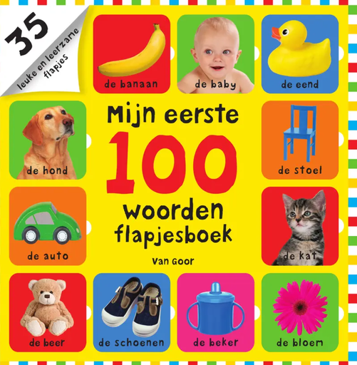 [373334] PRENTENBOEK, flapjesboek, Mijn eerste 100 woorden, multikleur, Roger Friddy, boek
