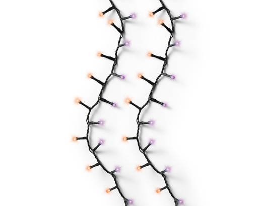 [340331] VERLICHTING, Compact Twinkle, outdoor, 750 leds: multikleur, zwart snoer, 16 m + 5 m aanloopsnoer, 8 functies, adapter