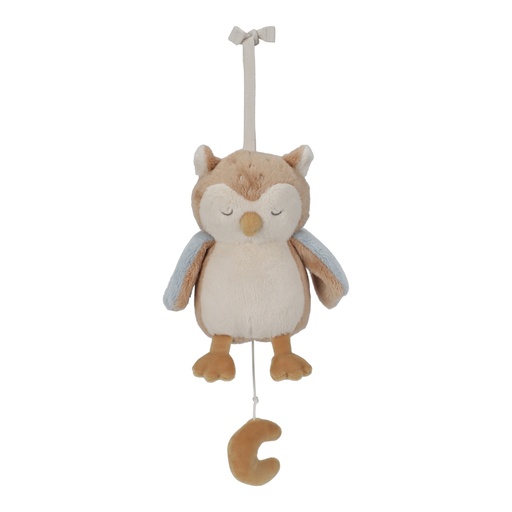 [490593] Muziekdoos Uil Forest Friends GRS