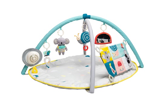[502071] ALL AROUND ME GYM             