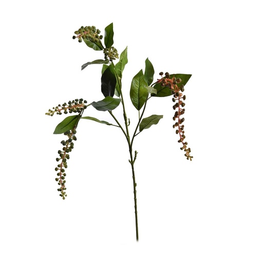 [521467] PHYTOLACCA AMERICANA SPRAY 74 CM GREEN