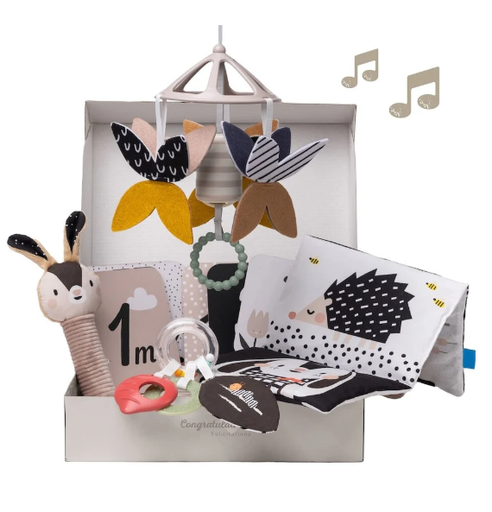 [533734] Taf Toys | Giftset Newborn Black & White Kit
