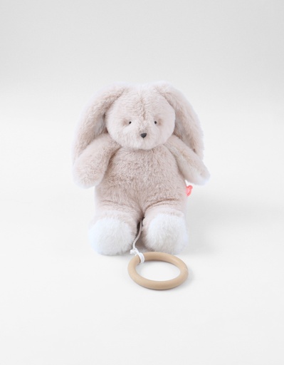 [534139] Noukies | Muziektrekker Moka Konijn