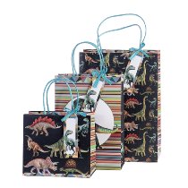 [538880] GESCHENKZAK | Dinosaurus | 22x30x11cm 