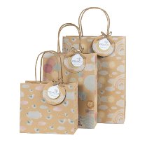 [538932] GESCHENKZAK | Ark | 18x16x8cm | 100% Recyclable