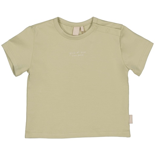 Levv | T-shirt Soft Green