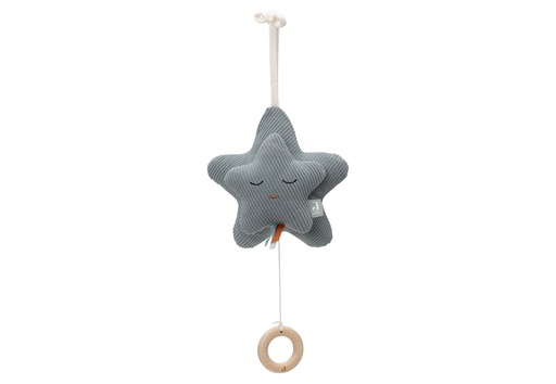 [543720] Jollein | Muziekhanger Star Sea Green Ster