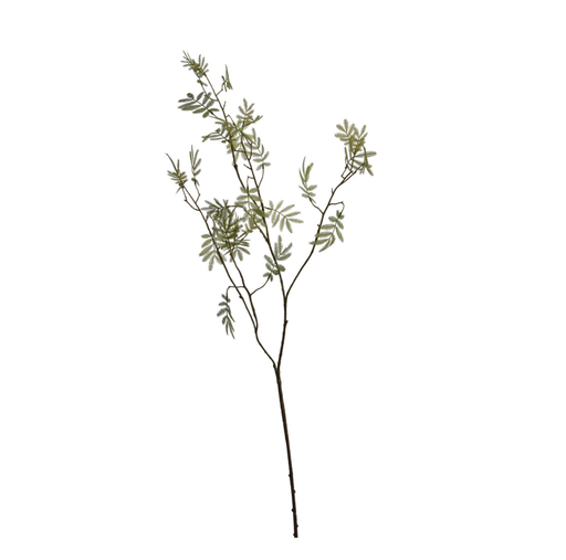 [547298] Jasaco |  MIMOSA LEAVES SPRAY 92CM GREEN