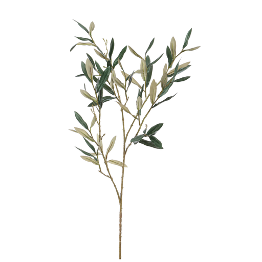 [547299] Jasaco |  OLIVE LEAF 110CM GREEN