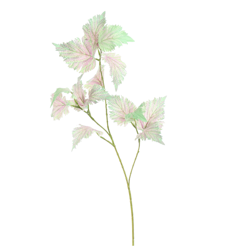 [547300] Jasaco |  STINGING NETTLE 75CM GREEN PINK