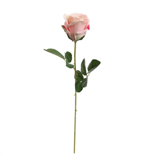[547306] Jasaco |  VELVET ROSEBUD 55CM PINK