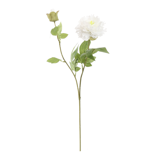 [547308] Jasaco |  MINI PEONY 65CM CREAM