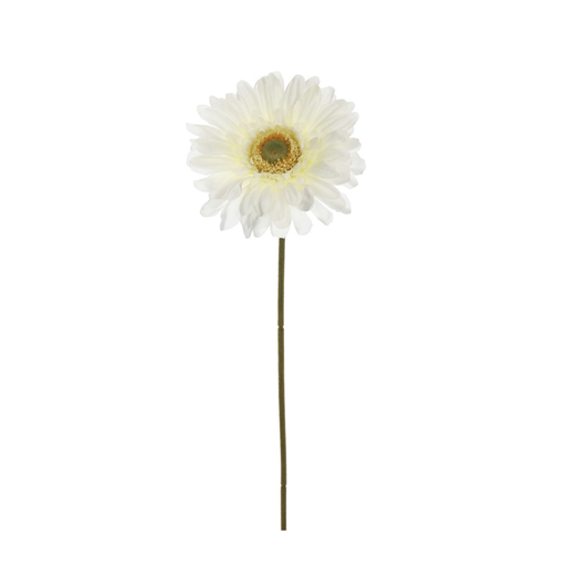 [547315] Jasaco |  SINGLE GERBERA 56CM CREAM