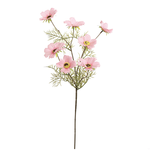 [547318] Jasaco | Sierbloem Cosmos Spray Pink 75cm 