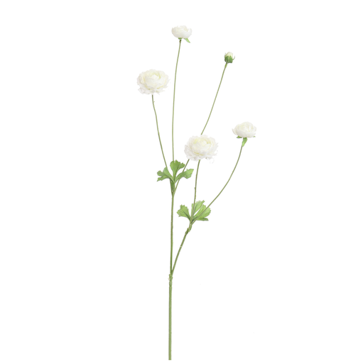 [547322] Jasaco |  RANUNCULUS 90CM CREAM