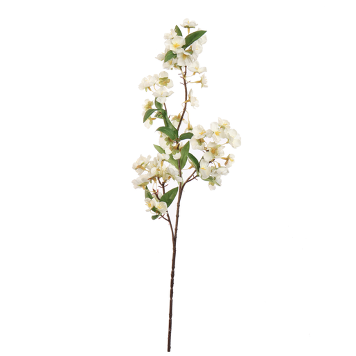[547330] Jasaco |  CHERRY BLOSSOM 75CM CREAM