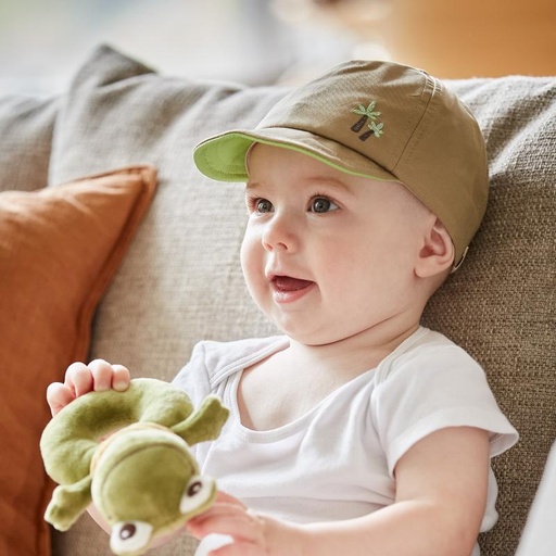 Maximo | Pet Palm Tree Palmboom Groen