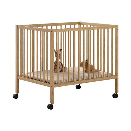 [551106] Vipack | Park Dino Natuur 75x95cm