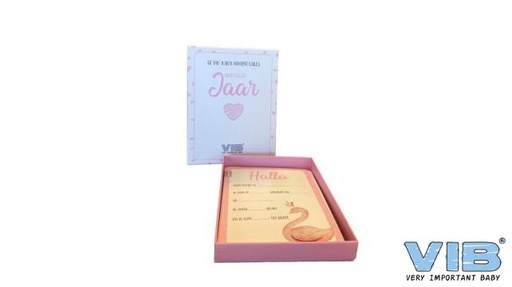 [553860] VIB | Mijlpaalkaarten Baby Moments Mijn Eerste Jaar Girl120x160mm