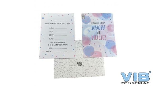 [553896] VIB | Uitnodiging Gender Reveal Party Jongen of Meisje met Envelop 6-pack