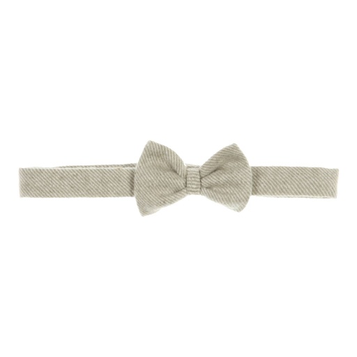 [556517] Gymp | Strik Boys Bowtie Mozes Pale Green M30