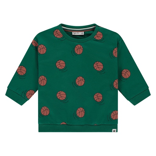 Babyface | Pull Boys Baby Sweatshirt Turtle