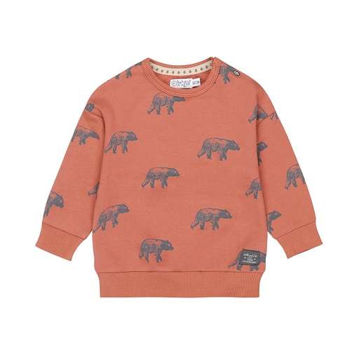 Dirkje | Pull Boys Frosty Friends Sweater With Crew Neck Rust