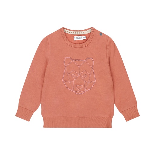Dirkje | Pull Boys Wildland Sweater Rust