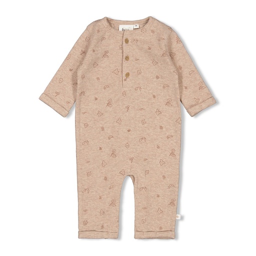 Feetje | Kruippak Fall Favorites Hazelnoot Melange