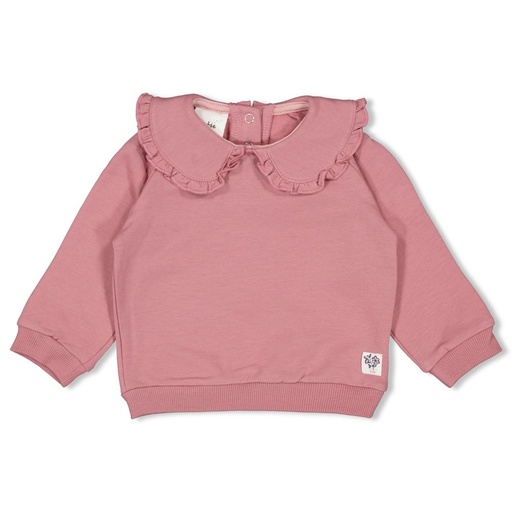 Feetje | Pull Swanlake Mauve