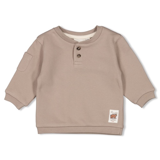 Feetje | Pull Wild World Grijs