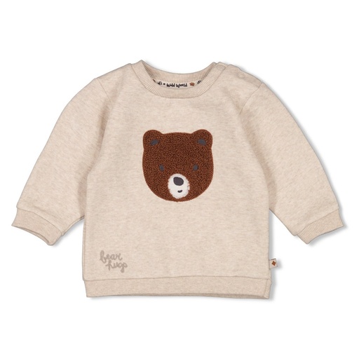Feetje | Pull Wild World Taupe Melange