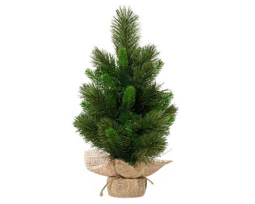 [560555] Kaemingk | Kerstboom Edmonton Spruce Binnen