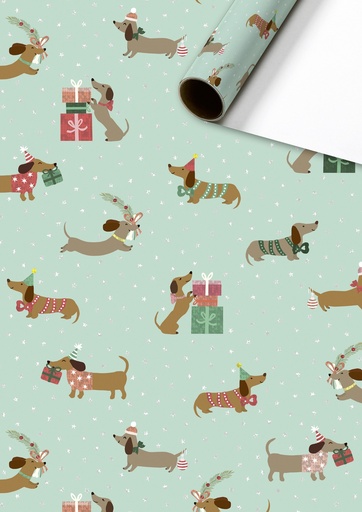 [565305] Stewo | Geschenkpapier Rol Bo Mint 70x150cm