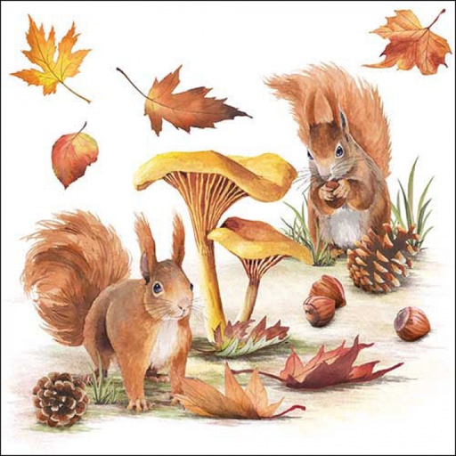 [565506] Ambiente | Servetten Squirrels Go Nuts 3-laags 100%FSC 33x33cm 20-pack