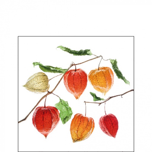 [565513] Ambiente | Servetten Lampion Flower 3-laags 100%FSC 25x25cm 20-pack