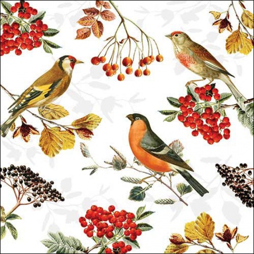 [565518] Ambiente | Servetten Autumn Birds 3-laags 33x33cm 20-pack