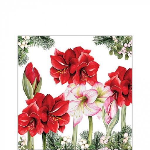 [565535] Ambiente | Servetten Blooming Amaryllis White 3-laags 100%FSC 25x25cm 20-pack
