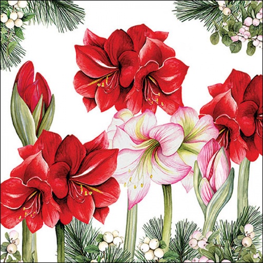 [565536] Ambiente | Servetten Blooming Amaryllis White 3-laags 100%FSC 33x33cm 20-pack