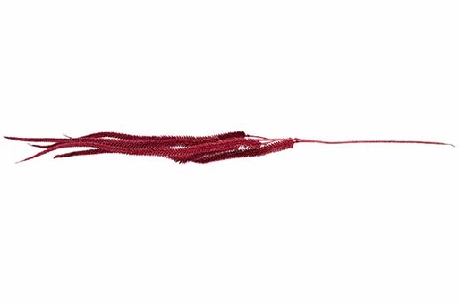 [566799] Cosy & Trendy | DECOTAK CAT TAILS ROOD 6X5XH140CM KUNSTS