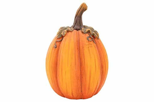 [566862] Cosy & Trendy | POMPOEN ORANJE 20X20XH29CM MAGNESIUM