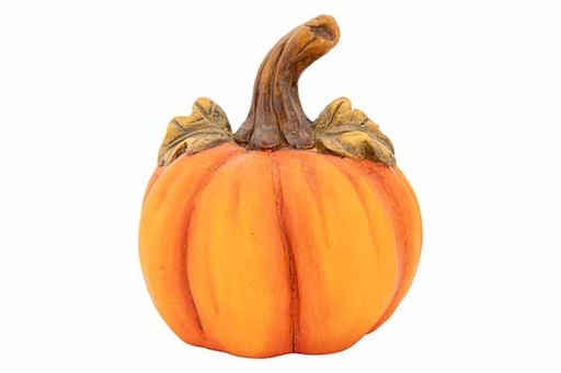 [566865] Cosy & Trendy | POMPOEN ORANJE 15X15XH17CM MAGNESIUM