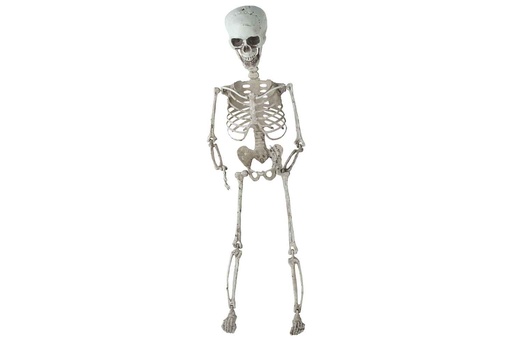 [566872] Cosy & Trendy | Figuur Skelet Hangend H70cm