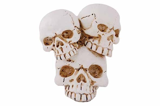 [566876] Cosy & Trendy | DOODSKOP X3 NATUUR 10X7,5XH11CM POLYRESI