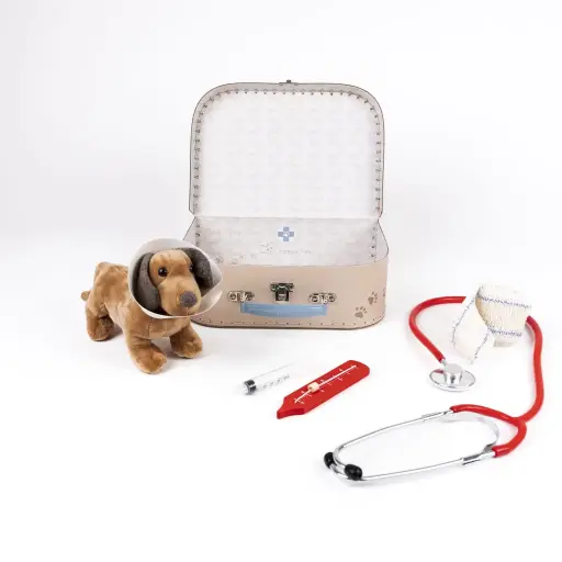 [567202] Egmont | Speelset Dierenarts Koffer