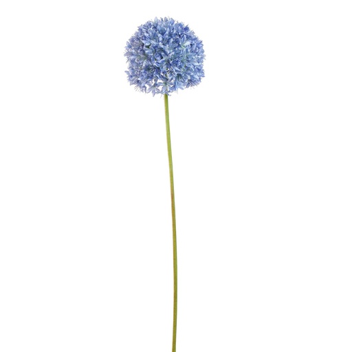 [569212] Jasaco |  ALLIUM FLOWER 89CM BLUE
