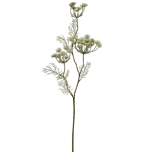 [569213] Jasaco |  ANETHUM SPRAY X 3 83CM CREAM