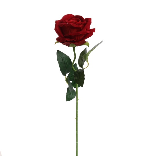 [569217] Jasaco |  VELVET ROSE 50CM BURGUNDY