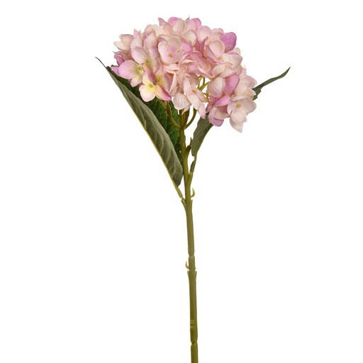 [569219] Jasaco |  HYDRANGEA 45CM OLD PINK