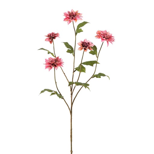 [569220] Jasaco |  DAHLIA 90CM PINK